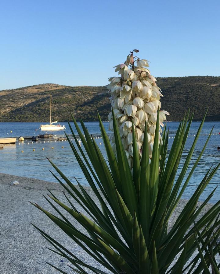 Apartment Ludilo Mit 4 In Poljica - Marina Bei Trogir Split